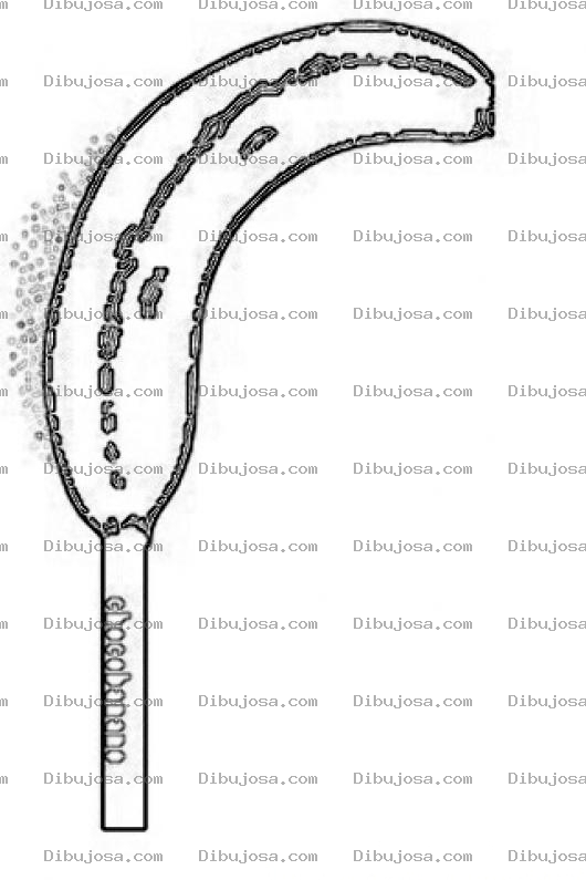Dibujo para colorear Chocobanano Para Pintar Y Colorear