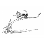 Dibujo para colorear Colorear Saltamontes Quiebrapalitos