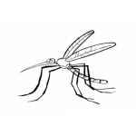 Dibujo para colorear Colorear Mosquito