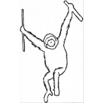 Dibujo para colorear Corangutan Coloring Page