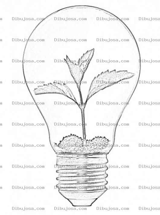 Dibujo para colorear Sprout Coloring Page