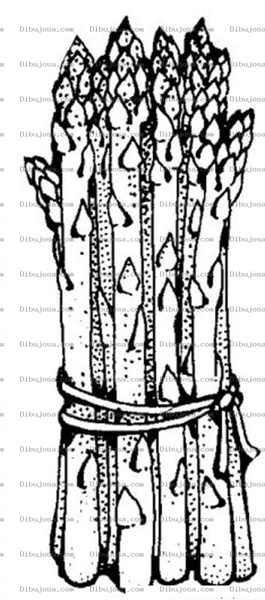 Dibujo para colorear Esparragos Para Colorear
