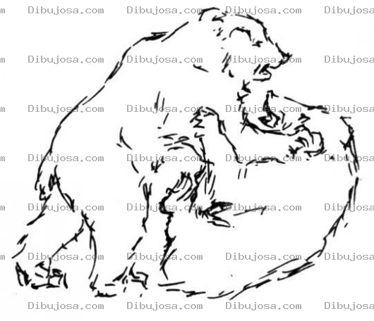 Dibujo para colorear Bears Coloring Page