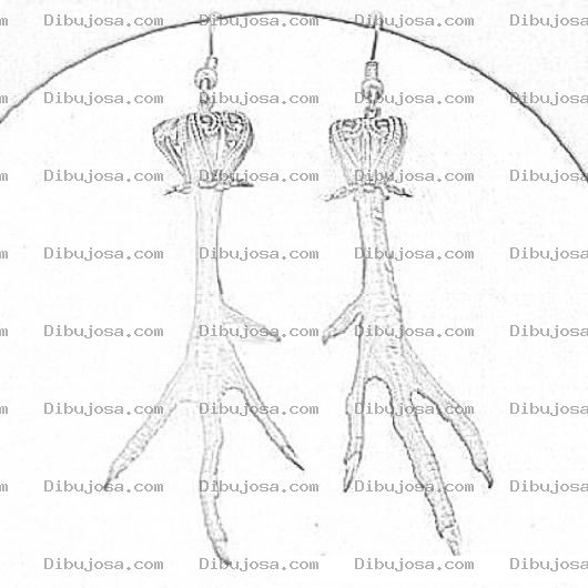 Dibujo para colorear Patas De Gallo Para Colorear