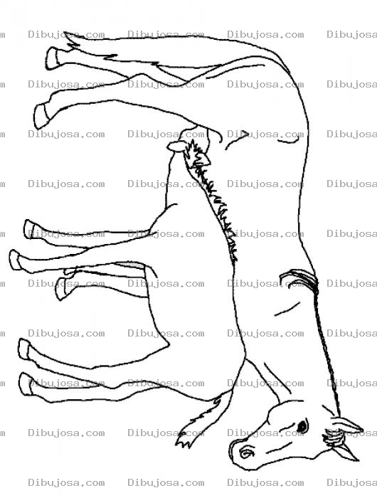 Dibujo para colorear Dibujo De Una Yegua Amamantando A Su Hijo
