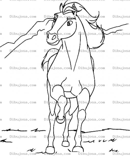Dibujo para colorear Dibujo De Caballo Galopando De Frente Para Colorear