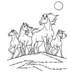 Dibujo para colorear Dibujo De Una Manada De Caballos Para Pintar