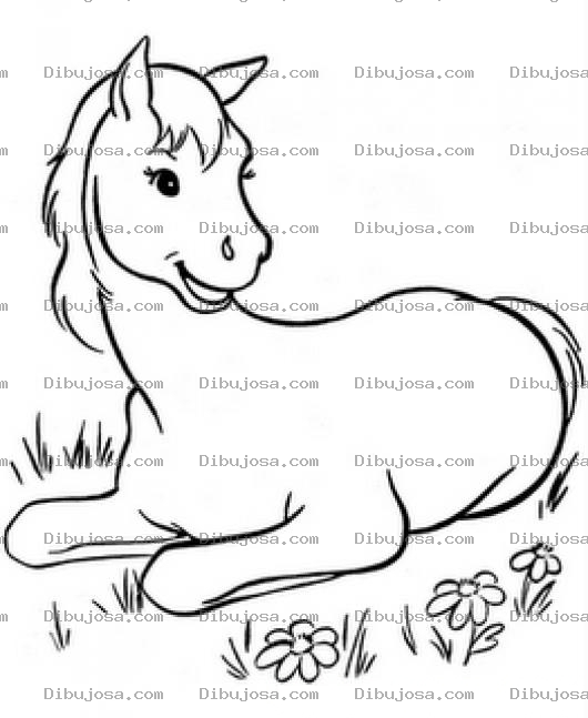 Dibujo para colorear Caballito Descansando Para Colorear