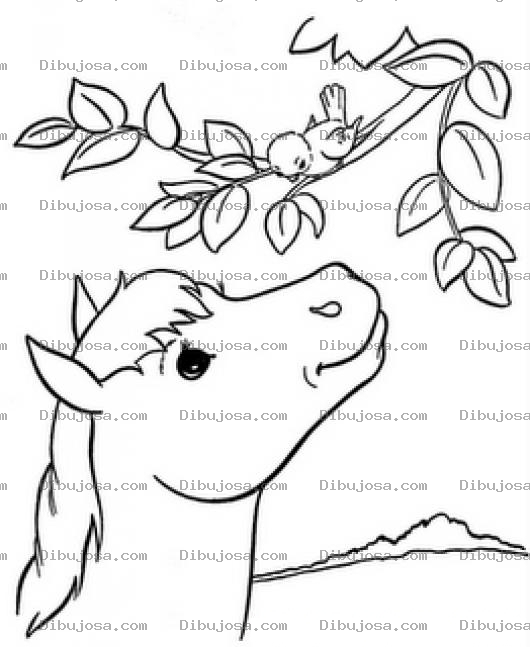 Dibujo para colorear Caballo Hablando Con Un Pajarito Para Pintar