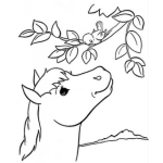 Dibujo para colorear Caballo Hablando Con Un Pajarito Para Pintar