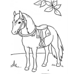 Dibujo para colorear Caballo Con Silla De Montar Para Pintar