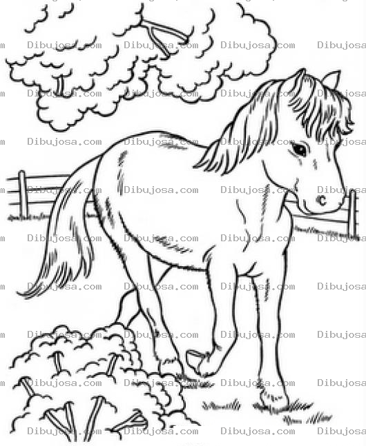 Dibujo para colorear Pony Triste Para Colorear