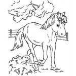 Dibujo para colorear Pony Triste Para Colorear