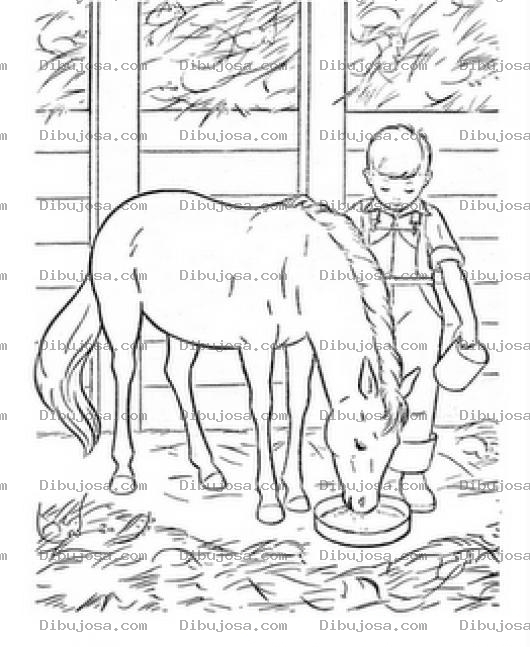 Dibujo para colorear Dibujo D Eun Chico Alimentando A Su Caballo Pony