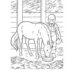 Dibujo para colorear Dibujo D Eun Chico Alimentando A Su Caballo Pony