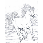 Dibujo para colorear Caballo Coriiendo Sin Silla Y Con El Pelo Suelto Para Colorear