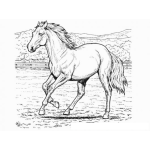 Dibujo para colorear Caballo Viejo Para Pintar Y Colorear