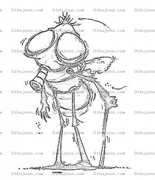 Dibujo para colorear Colorear Mosca Viejita Dibujo De Mosca Abuelita Con Baston