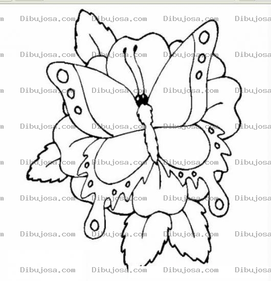 Dibujo para colorear mariposa sobre una flor para dibujar