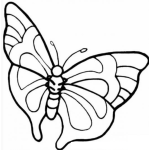 Dibujo para colorear mariposa grande para colorear