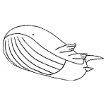 Dibujo para colorear Dibujo De Ballena Para Colorear