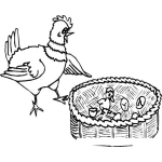 Dibujo para colorear Gallina Viendo A Sus Pollitos Nacer