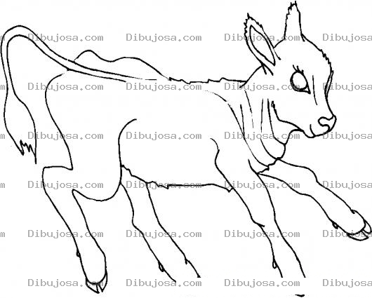 Dibujo para colorear Colorear Ternerita chivito chivita