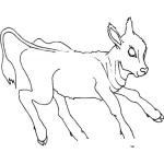 Dibujo para colorear Colorear Ternerita chivito chivita