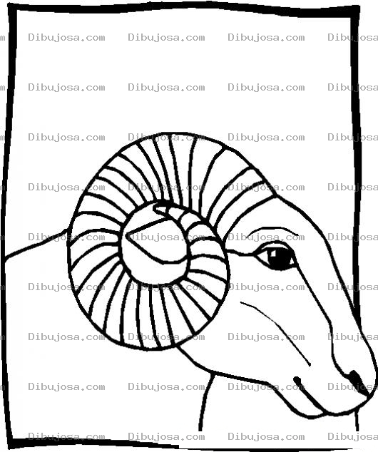 Dibujo para colorear Ram Coloring Page Dibujo De Un Cabro Para Colorear