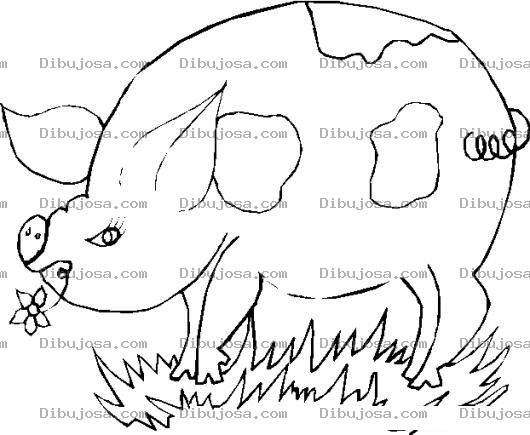Dibujo para colorear Colorear Cerdo Con Una Flor En El Ocico