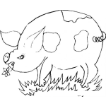 Dibujo para colorear Colorear Cerdo Con Una Flor En El Ocico
