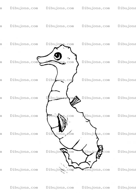 Dibujo para colorear Colorear Caballo De Mar
