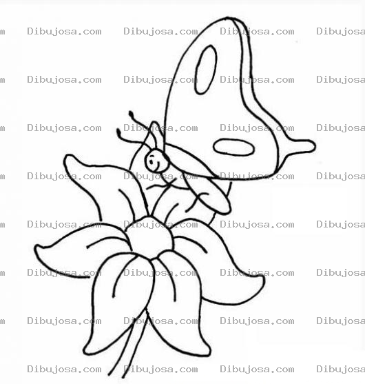 Dibujo para colorear mariposa sobre una flor para colorear