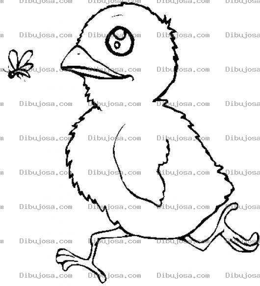 Dibujo para colorear Colorear Pollito Persiguiendo A Una Mosca
