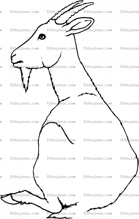 Dibujo para colorear Colorear Cabrito Sentado