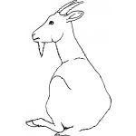 Dibujo para colorear Colorear Cabrito Sentado