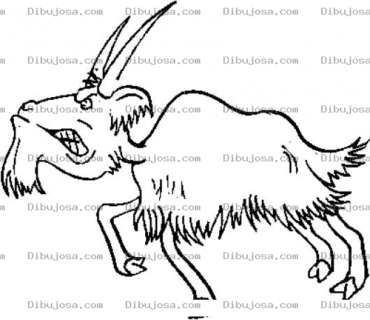 Dibujo para colorear Colorear Cabro Enojado