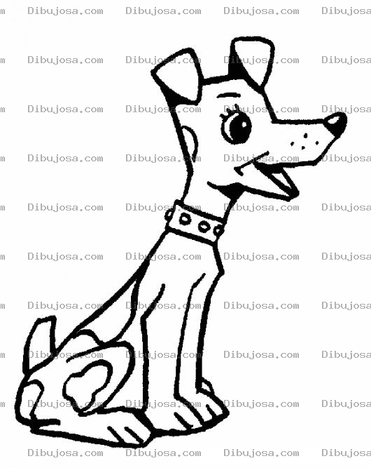 Dibujo para colorear Colorear Perrito Contento