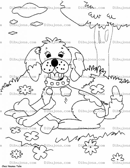 Dibujo para colorear Colorear Perrito Con Hueso