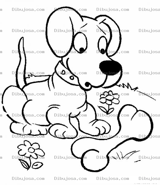 Dibujo para colorear Colorear Cachorro Con Hueso