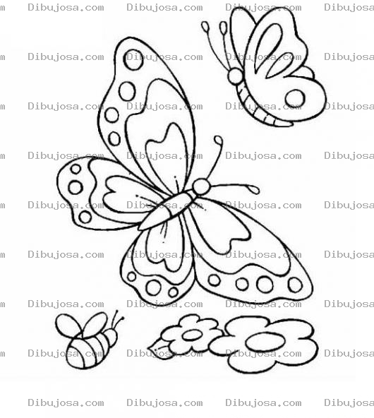 Dibujo para colorear mariposas y abeja para colorear