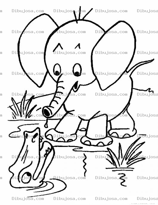 Dibujo para colorear Colorear Elefante Con Cocodrilo