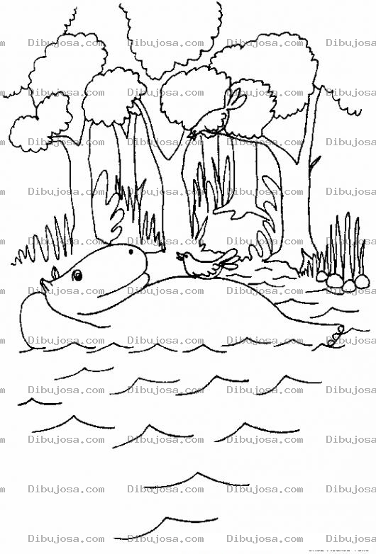 Dibujo para colorear Colorear Hipopotamo Nadando Boca Arriba