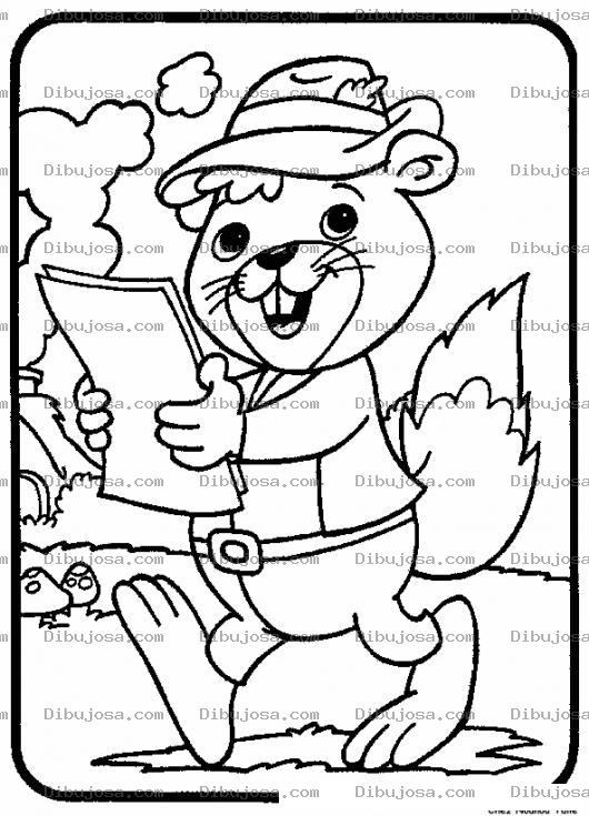Dibujo para colorear Colorear Ardilla Leyendo Un Documento