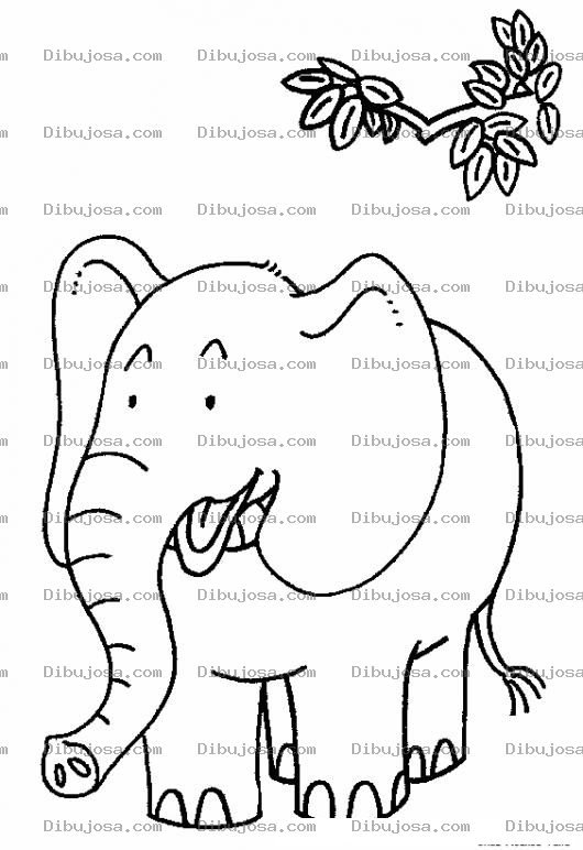 Dibujo para colorear Colorear Elefante Bajo Una Rama