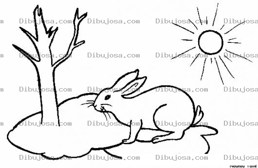 Dibujo para colorear Clorear Conejo Bajo El Sol