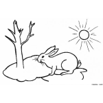 Dibujo para colorear Clorear Conejo Bajo El Sol