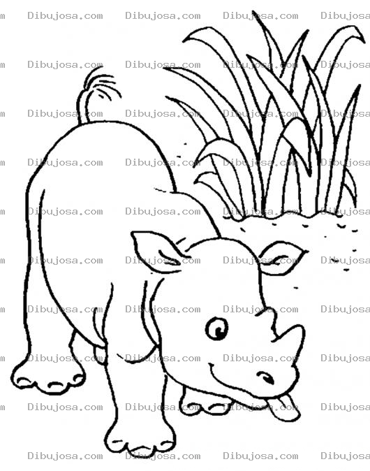 Dibujo para colorear Colorear Rinocerontito Con Leguita De Fuera